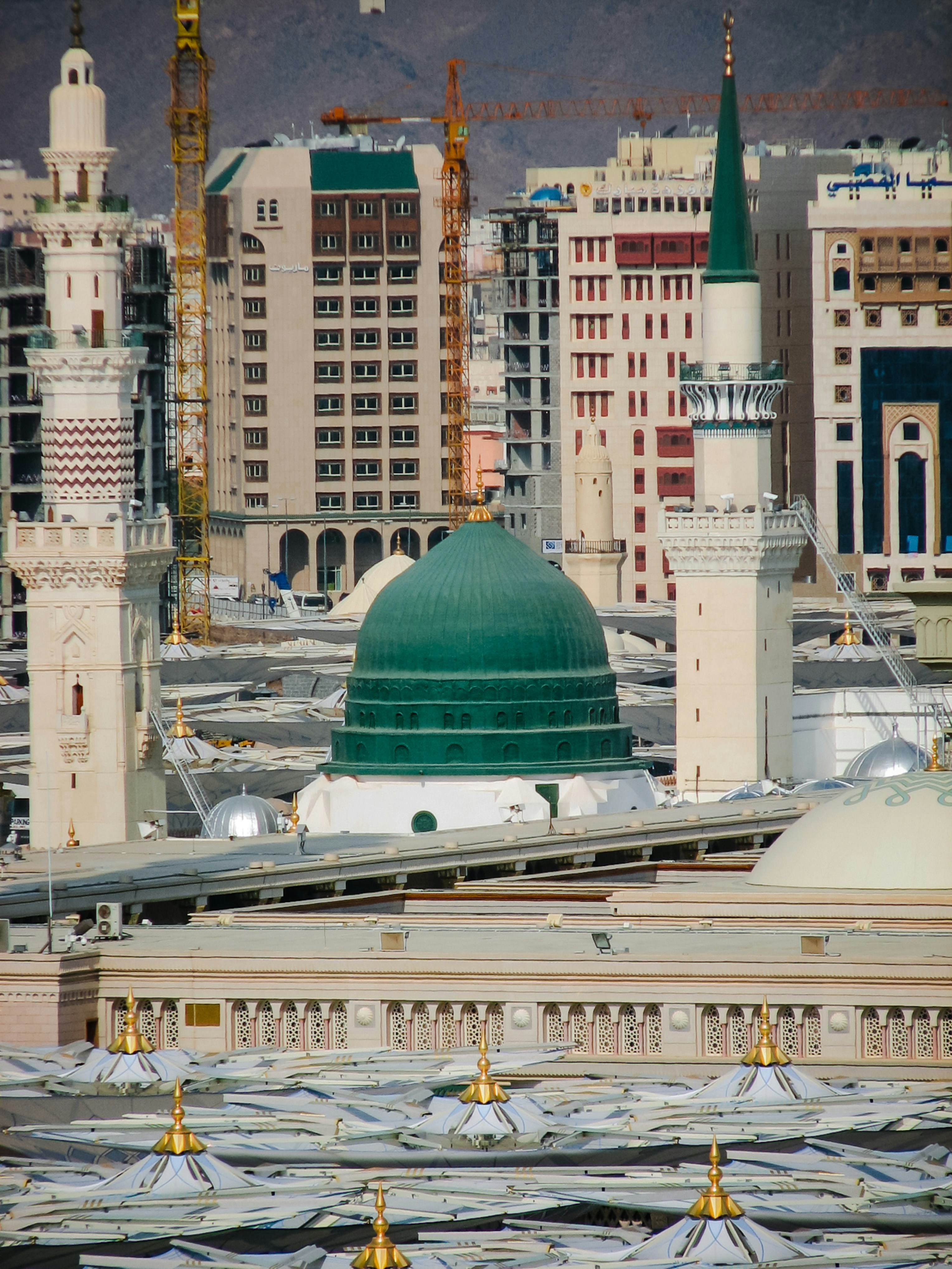 المدينة المنورة